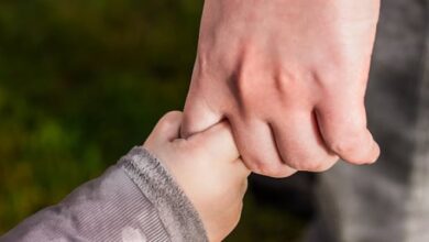 2 Program Ini Bukan Cuma Teori: Kunci Praktis untuk Sukses Siswa