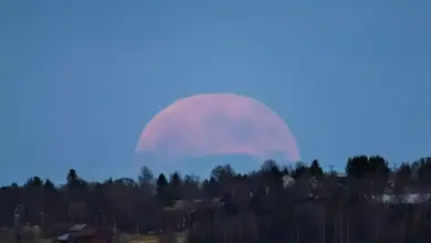 5 Mitos Menarik tentang Fenomena Strawberry Moon yang Jarang Diketahui