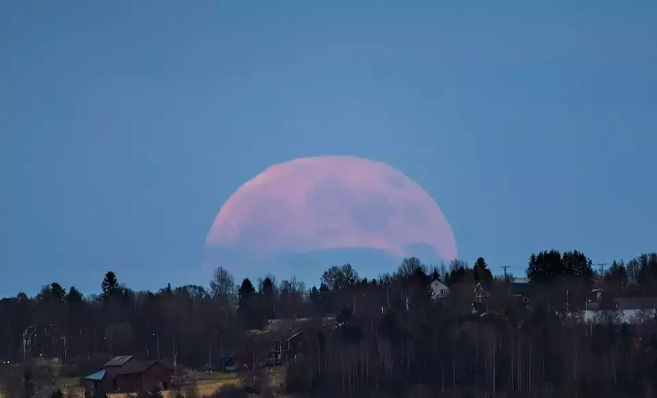 5 Mitos Menarik tentang Fenomena Strawberry Moon yang Jarang Diketahui