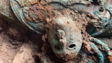 800 Artefak Zaman Besi Ditemukan Terbakar dan Terkubur di Ladang, Arkeolog Terkejut!