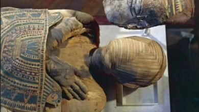 Bongkar Misteri Bashiri: Mumi Mesir yang Ditakuti Arkeolog Dunia