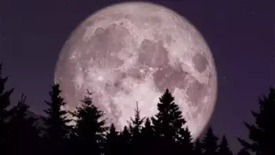 Deretan Fenomena Langit Menarik 2025, Selain Strawberry Moon