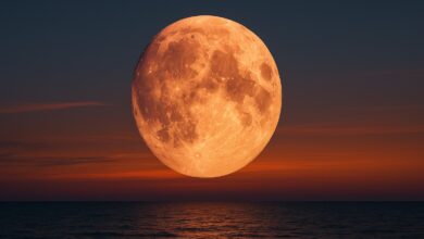 Fenomena Bulan Strawberry Moon Hiasi Langit Indonesia Malam Ini