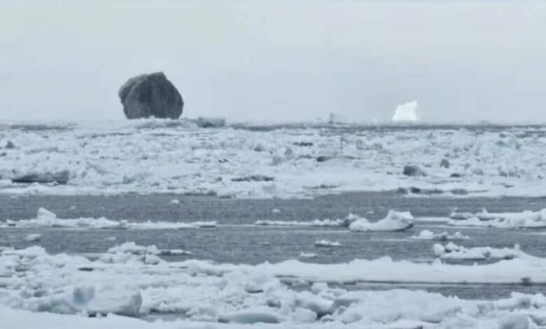 Gunung Es Raksasa Berwarna Hitam Muncul di Laut Labrador, Apa Penyebabnya?