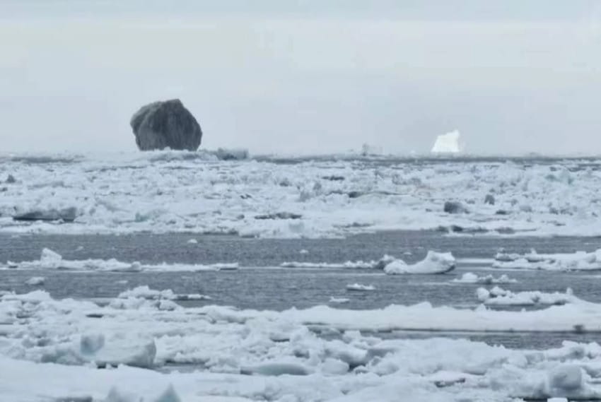 Gunung Es Raksasa Berwarna Hitam Muncul di Laut Labrador, Apa Penyebabnya?