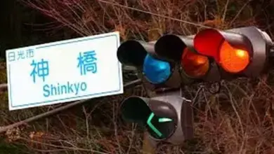 Kenapa Lampu Hijau di Jepang Justru Terlihat Biru? Ini Alasannya!