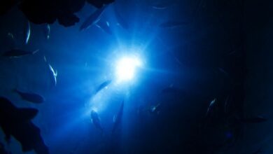 Kisah Masa Lalu Bumi Tersimpan di Bawah Samudra Pasifik: Fakta Mengejutkan!