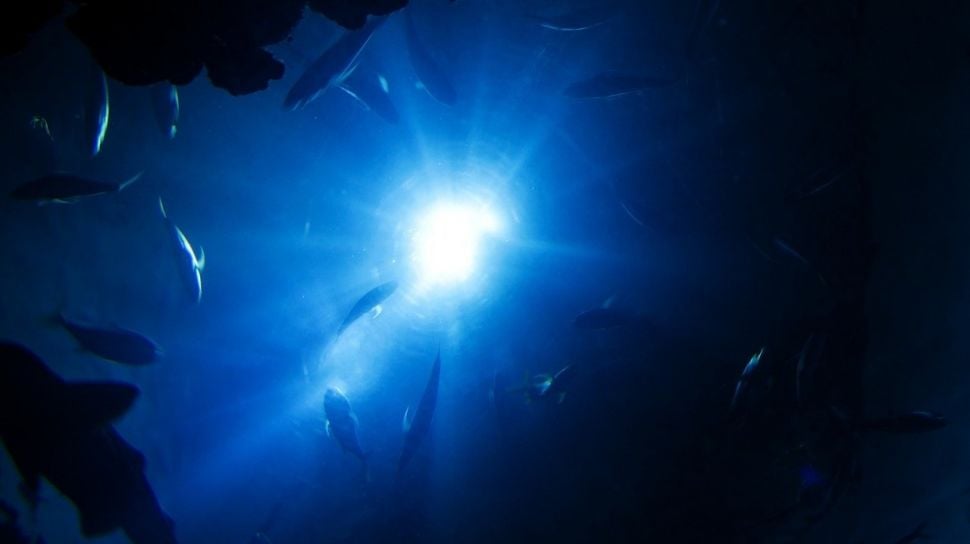 Kisah Masa Lalu Bumi Tersimpan di Bawah Samudra Pasifik: Fakta Mengejutkan!