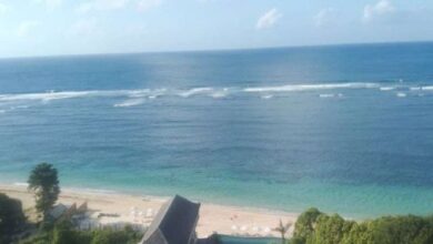 Lautan Jadi 'Bom Waktu' yang Siap Meledak: Ancaman Lingkungan Global Meningkat