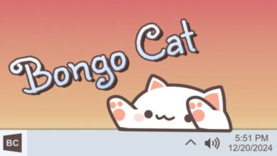 Mengapa Bongo Cat Populer Meski Tak Hasilkan Uang? Intip Penjelasannya!