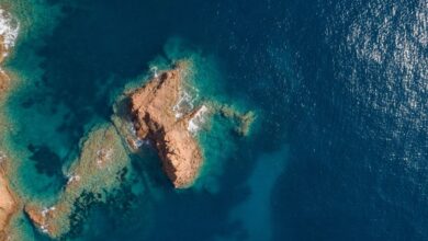 Pemicu Gerakan Gempa Bumi Melambat: Ini Dia Penyebabnya yang Ternyata