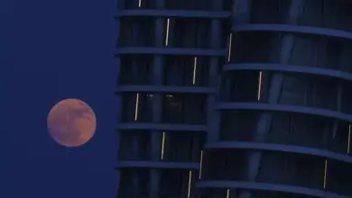 Puncak Strawberry Moon 2025: Kapan dan Cara Menyaksikannya?