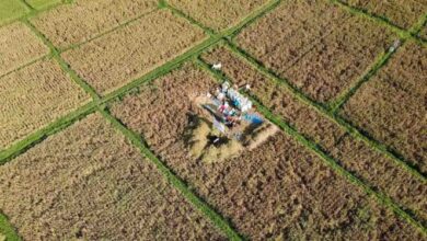 Teknologi dan Ilmu Pertanian Masuk Sawah: Learning Farm Ubah Nasib Petani