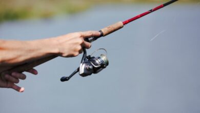 10 Rekomendasi Senar Pancing Galatama Murah, Terbaik, dan Berkualitas