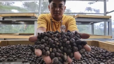 20 Oleh-Oleh Khas Jambi Paling Populer yang Wajib Dibawa Pulang