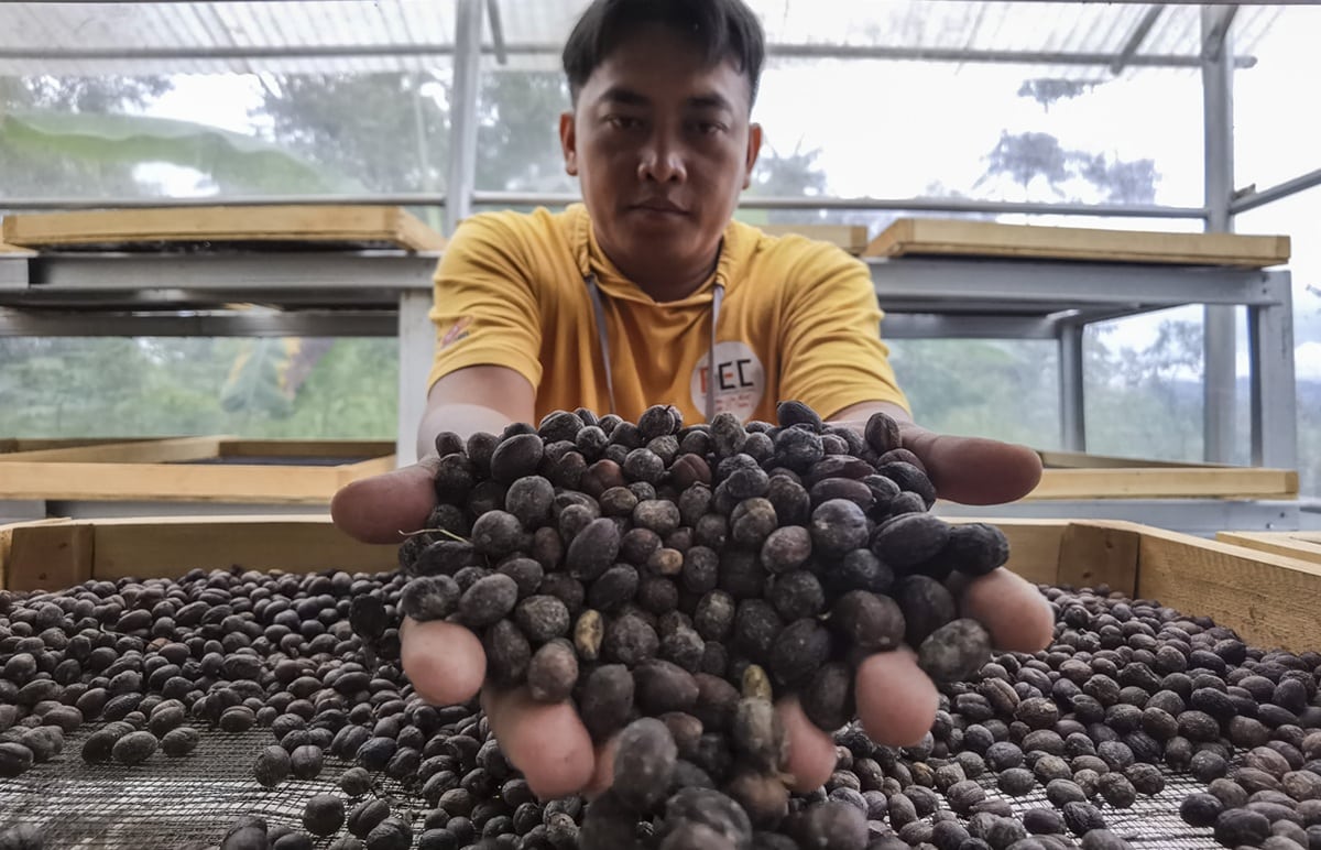 20 Oleh-Oleh Khas Jambi Paling Populer yang Wajib Dibawa Pulang