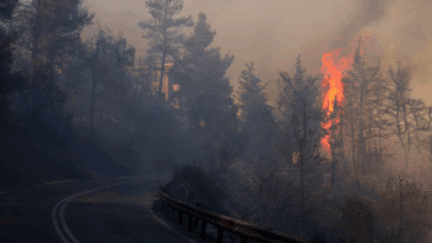 51 Tersangka Kebakaran Hutan di Riau Resmi Dijerat, Begini Kronologinya