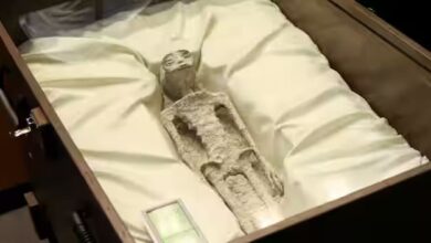 Arkeolog Temukan Mumi Misterius di China, Lebih Aneh dari yang di Peru