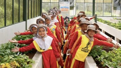 BRI Peduli Ajak Anak SD Garut Belajar Pertanian lewat Agroedukasi