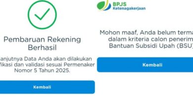 BSU Cair Juli 2024: Cara Mudah Hindari Gagal Dapat Bantuan Subsidi Upah