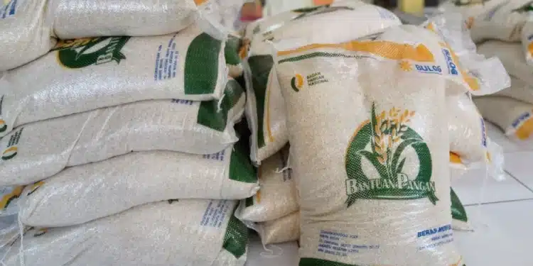Bansos Beras 20 Kg Disalurkan hingga Akhir Juli, Cek Penerima Online Mudah