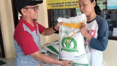 Bansos Beras Juli 2025 Mulai Disalurkan, Setiap Keluarga Terima 20 Kg Gratis