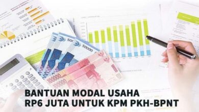 Bantuan Modal Usaha Rp6 Juta untuk KPM PKH-BPNT: Syarat & Cara Ajukan
