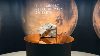 Batu Mars Terbesar di Bumi Dilelang di Sothebys, Nilai Capai Rp3264 Miliar