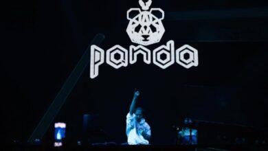 CEK FAKTA: Benarkah Anak Bos Pacific Palace Sewa DJ Panda Rp10 Miliar untuk 17 Agustus?