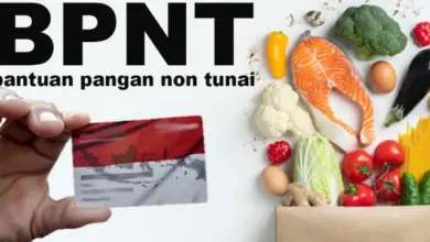 Cek BPNT Juli 2025 Pakai NIK: Cara Mudah Lihat Status Bantuan Tahap 3