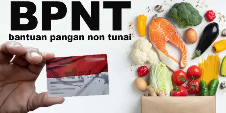 Cek BPNT Juli 2025 Pakai NIK: Cara Mudah Lihat Status Bantuan Tahap 3