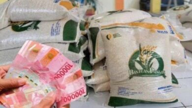 Cek Syarat & Jadwal Ambil Bantuan Beras 20 Kg untuk Penerima BPNT 2025