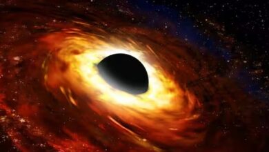 Ilmuwan Klaim Berhasil Ciptakan Magnet Terkuat di Alam Semesta!