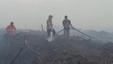 Karhutla Muarojambi: 265 Hektare Lahan Gambut Terbakar, Petugas Kewalahan