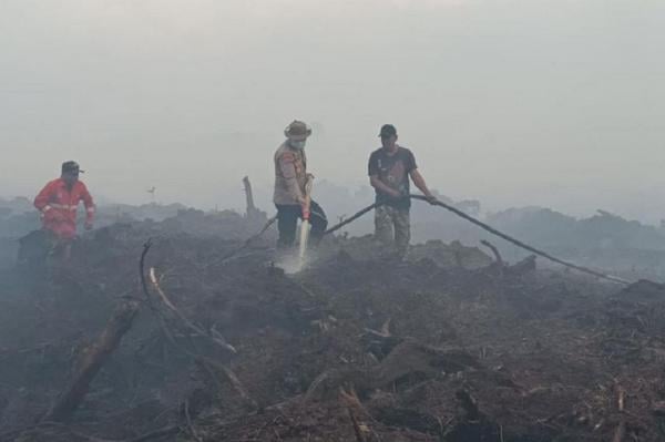 Karhutla Muarojambi: 265 Hektare Lahan Gambut Terbakar, Petugas Kewalahan