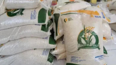 Ketentuan Penyaluran Bansos Beras untuk KPM Non-DTKS Terbaru 2024