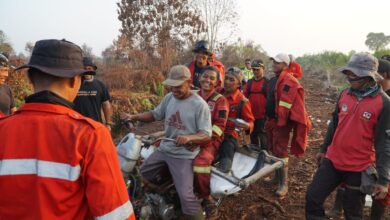 Lebih 800 Hektare Karhutla di Riau Dinyatakan Tuntas oleh Manggala Agni