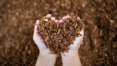 Nojorono Luncurkan Inovasi Intense Smoothness dari Clas Mild Elite