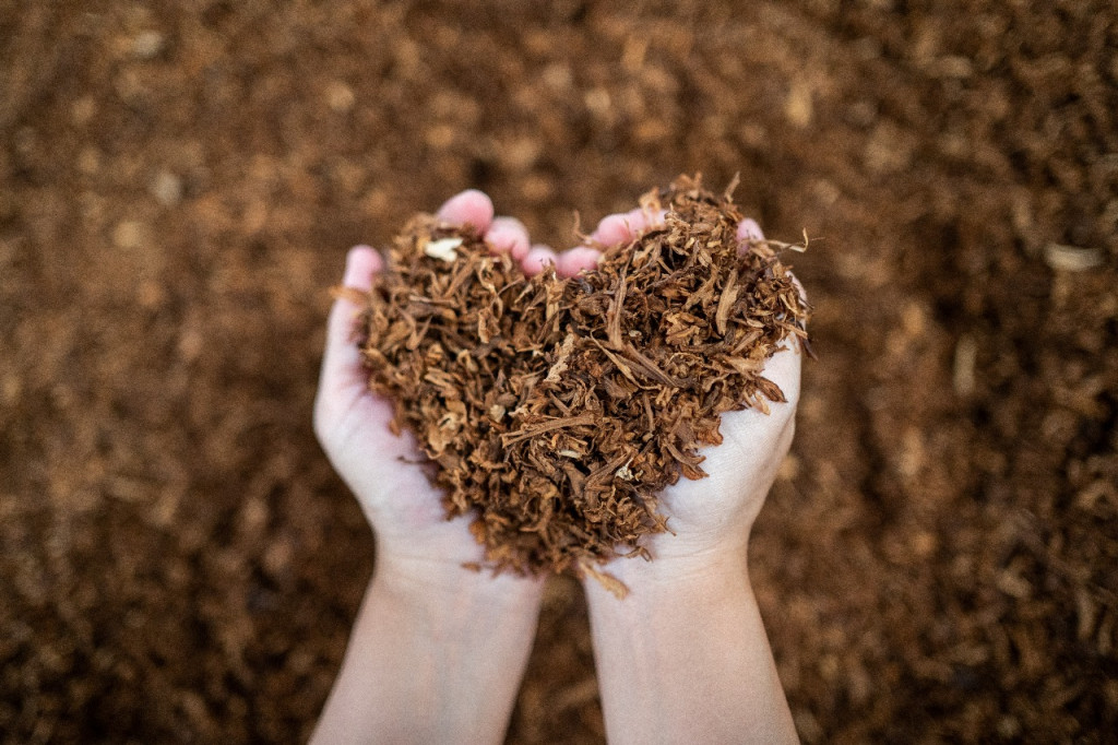 Nojorono Luncurkan Inovasi Intense Smoothness dari Clas Mild Elite