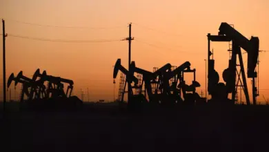 OPEC+ Naikkan Produksi Minyak 548.000 Barel Per Hari: Dampaknya untuk Pasar