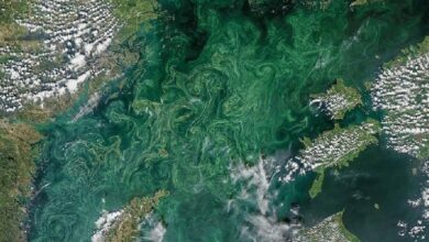 Ombak Setinggi 6 Meter Diprediksi Menggulung Perairan Bali, Waspada!