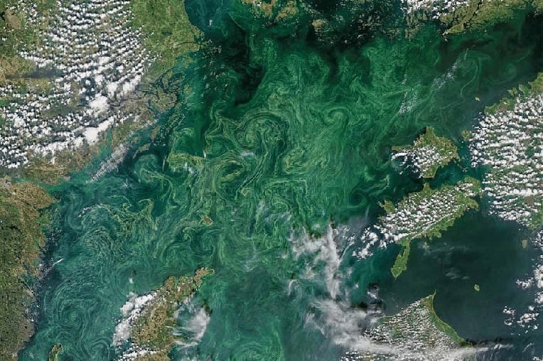 Ombak Setinggi 6 Meter Diprediksi Menggulung Perairan Bali, Waspada!