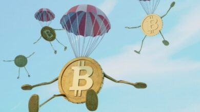 Panduan Investasi Crypto untuk Pemula: Peluang dan Risiko yang Perlu Diketahui