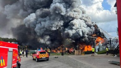 Panitia Tomorrowland Kejar Waktu Bangun Pengganti Jelang Festival Dimulai