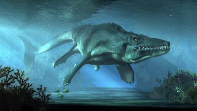 Penemuan Monster Laut 24 Kaki Berusia 80 Juta Tahun Gegerkan Ilmuwan