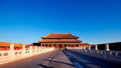 Pengguna Internet di China Mencapai 1,12 Miliar, 80% dari Total Penduduk