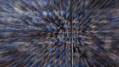 SDM Jadi Prioritas: Strategi Peningkatan Kualitas Tenaga Kerja Nasional