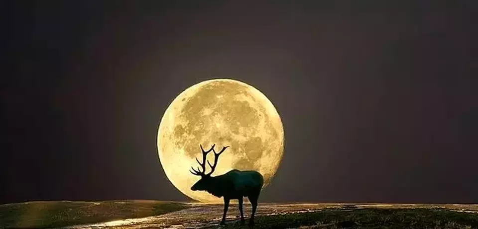 Saksikan Bulan Purnama Paling Dramatis Tahun Ini Dini Hari Besok!