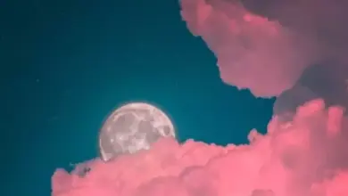 Serasa Diikuti Bulan Saat Berjalan? Simak Alasan Ilmiahnya!