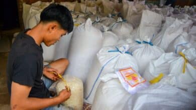 Strategi Penguatan Usaha Mikro di Tengah Tantangan Ekonomi Global